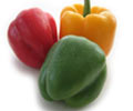capsicum