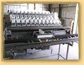 produce packing machine